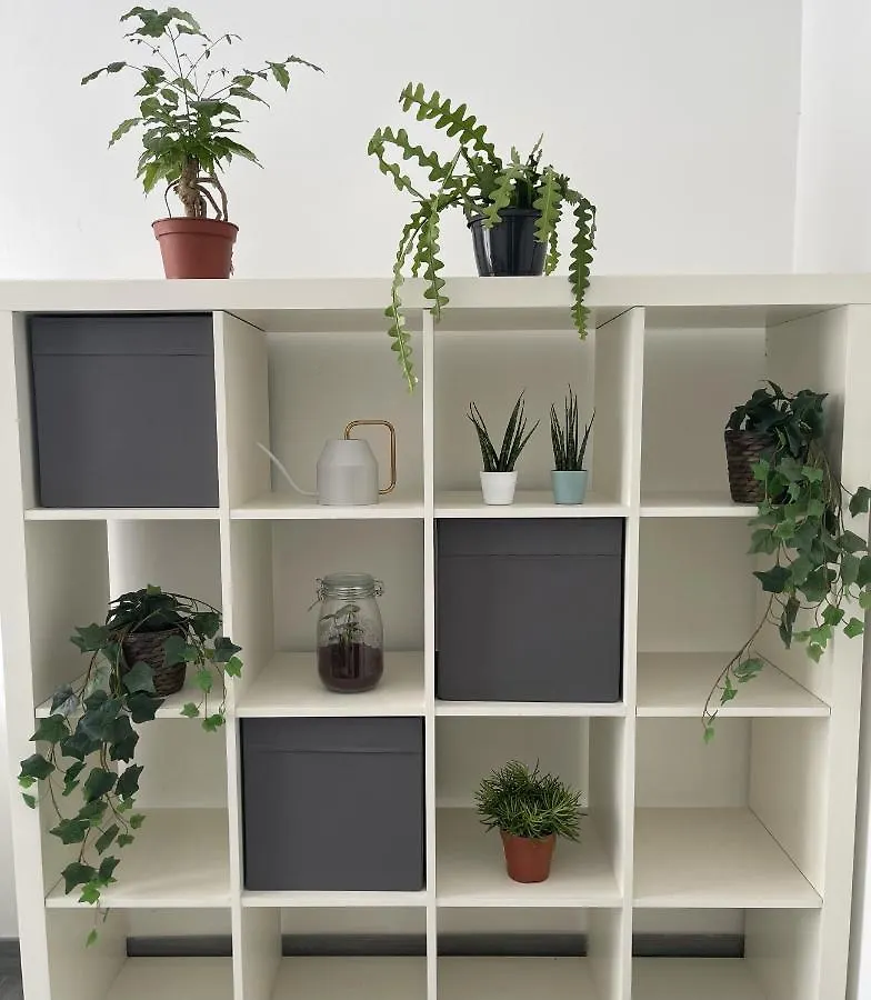 Ami House Roma Apartment